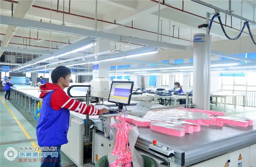 江苏两农业巨头跻身全国500强 东渡纺织与梁丰食品的强劲崛起